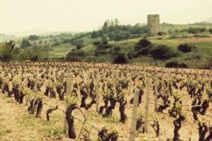 travel-guide-wineries-papagiannakos (2)